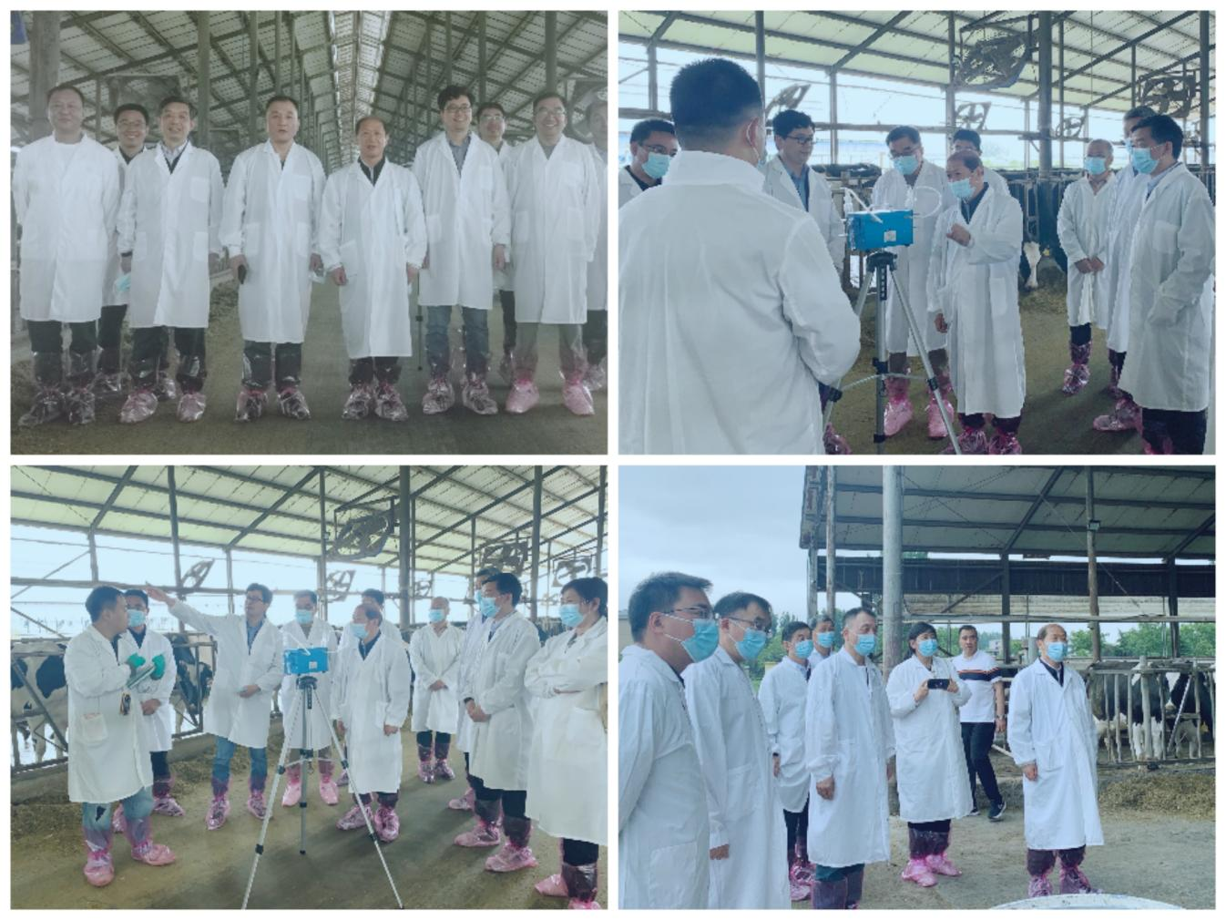 花花牛丨河南農(nóng)業(yè)大學(xué)黨委副書記、校長介曉磊一行蒞臨花花牛河南瑞亞參觀調(diào)研