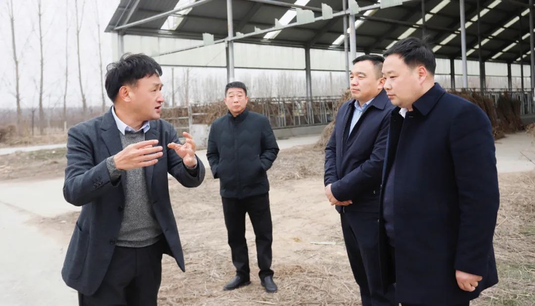 發(fā)揮產(chǎn)業(yè)優(yōu)勢(shì) 助力鄉(xiāng)村振興 | 民權(quán)縣委副書記、縣長(zhǎng)王靜嫻會(huì)見關(guān)曉彥董事長(zhǎng)一行