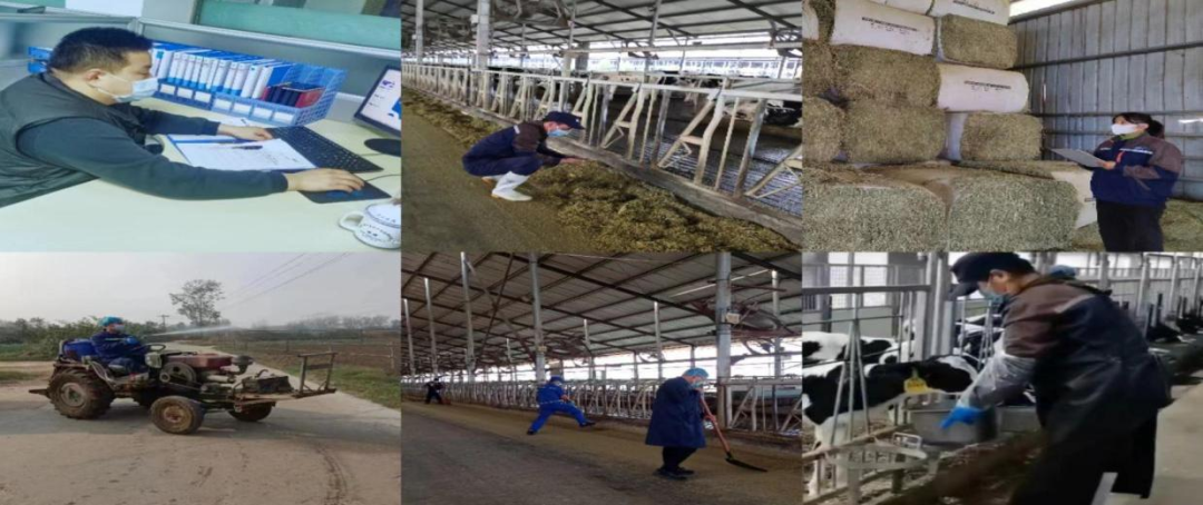 @全體花花牛人：請(qǐng)珍惜你的崗位，請(qǐng)善待我們共同的“花花?！保? style=