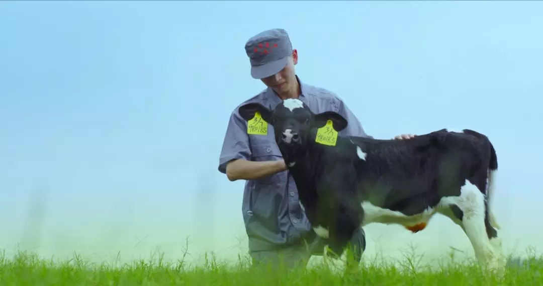 河南省人大常委會(huì)黨組書記、副主任孔昌生蒞臨花花牛魯山瑞亞牧場(chǎng)參觀調(diào)研