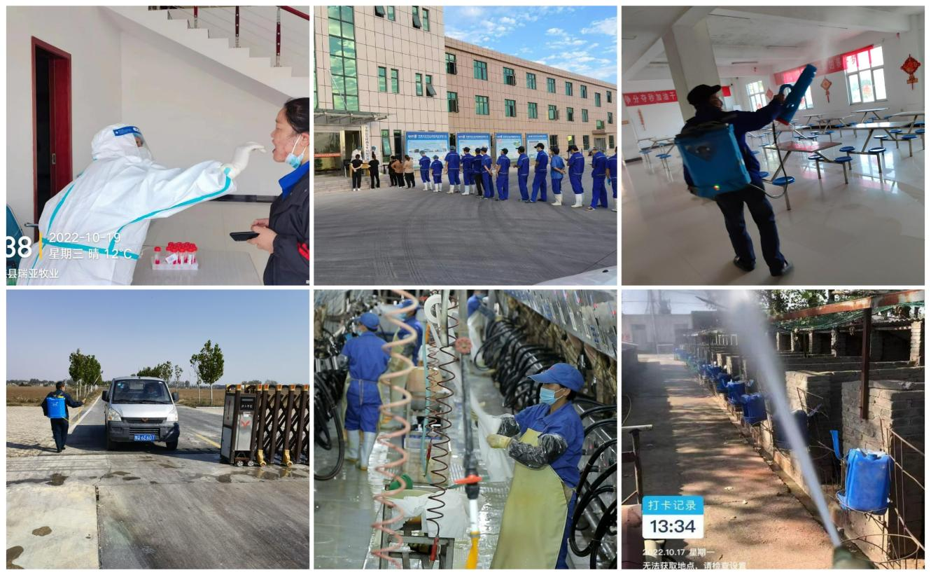 抗疫情、保供應、顯擔當——花花牛在行動?。?！