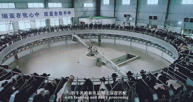 快訊 | 河南省委常委、省紀(jì)委書記、省監(jiān)委主任任正曉蒞臨花花牛乳業(yè)集團(tuán)新蔡瑞亞牧場(chǎng)調(diào)研