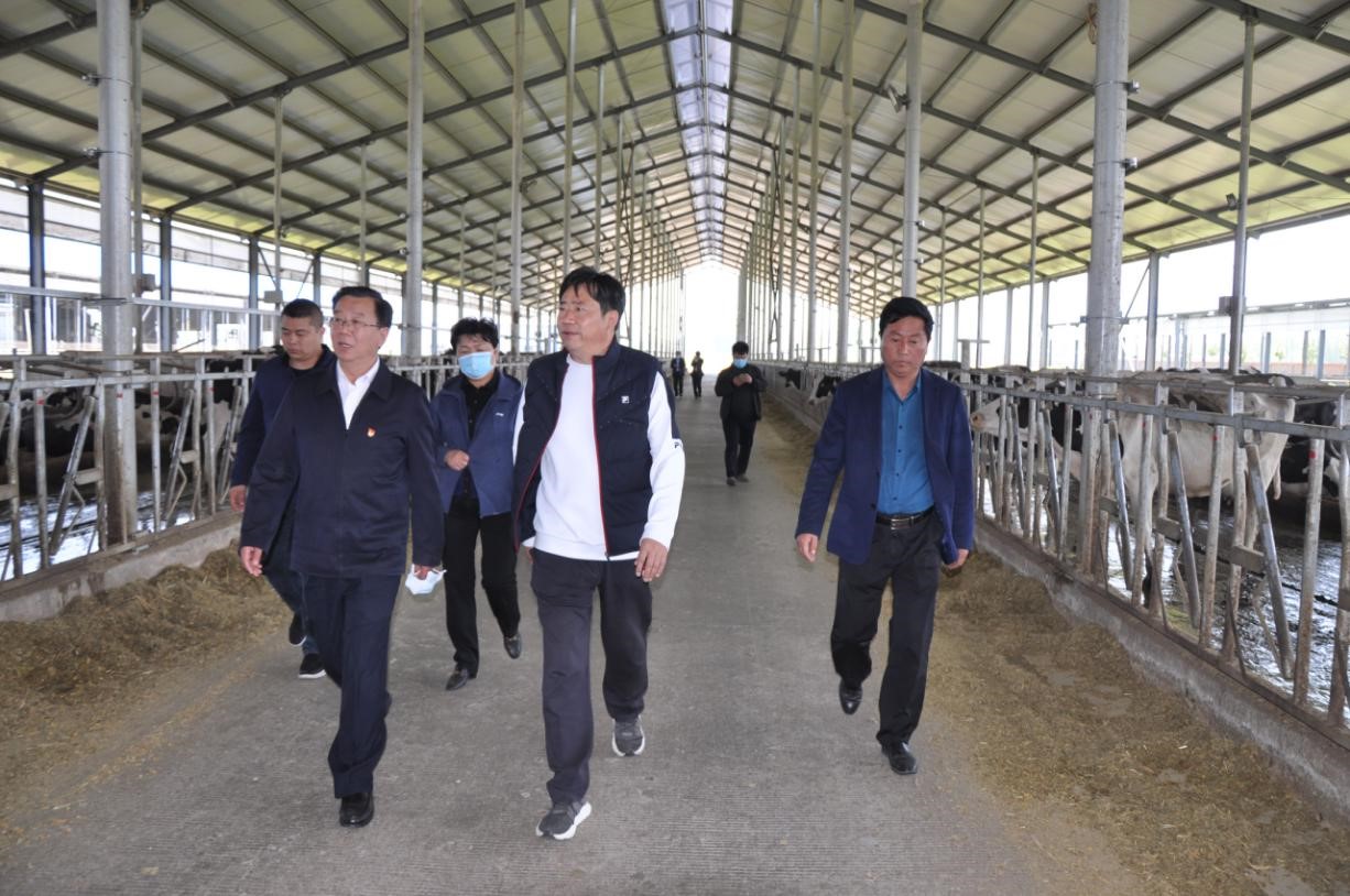 商丘市委常委、宣傳部部長王全周一行蒞臨睢縣瑞亞牧業(yè)有限公司調(diào)研