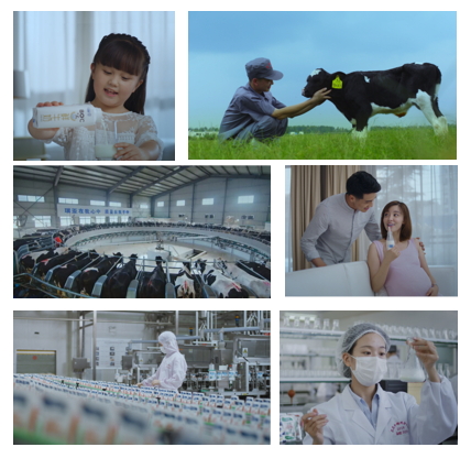 花花牛亮相中國奶業(yè)20強呼倫貝爾峰會，共話中國奶業(yè)振興！