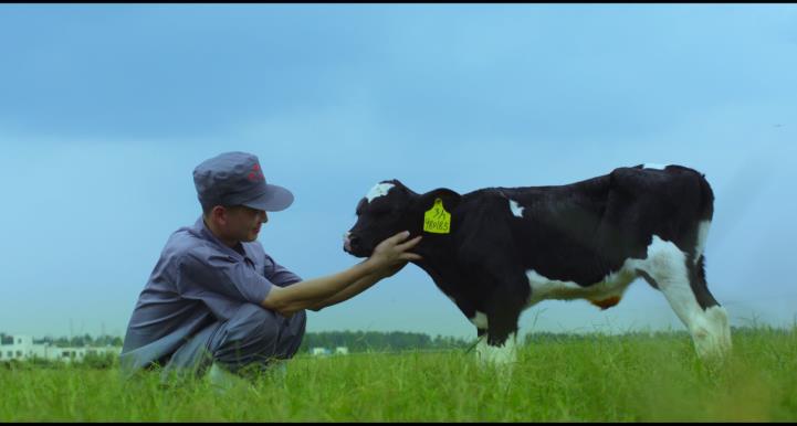 又雙叒叕獲獎(jiǎng)啦！花花牛榮獲“乳品質(zhì)量安全管理 優(yōu)秀企業(yè)”