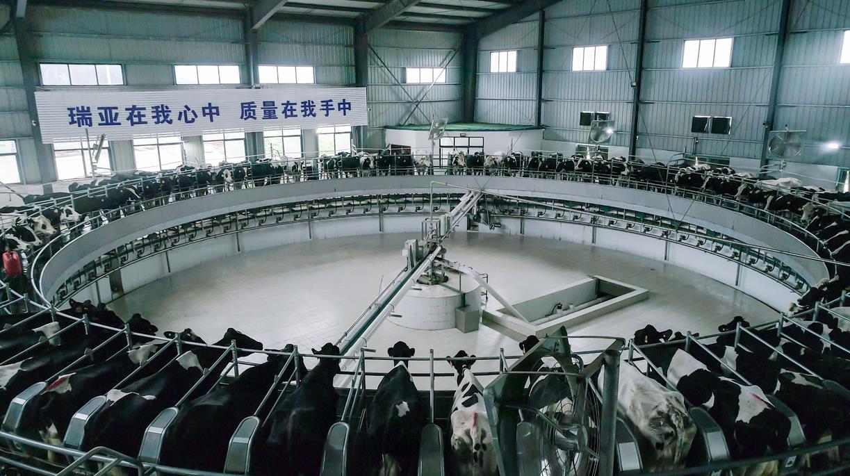 又雙叒叕獲獎(jiǎng)啦！花花牛榮獲“乳品質(zhì)量安全管理 優(yōu)秀企業(yè)”