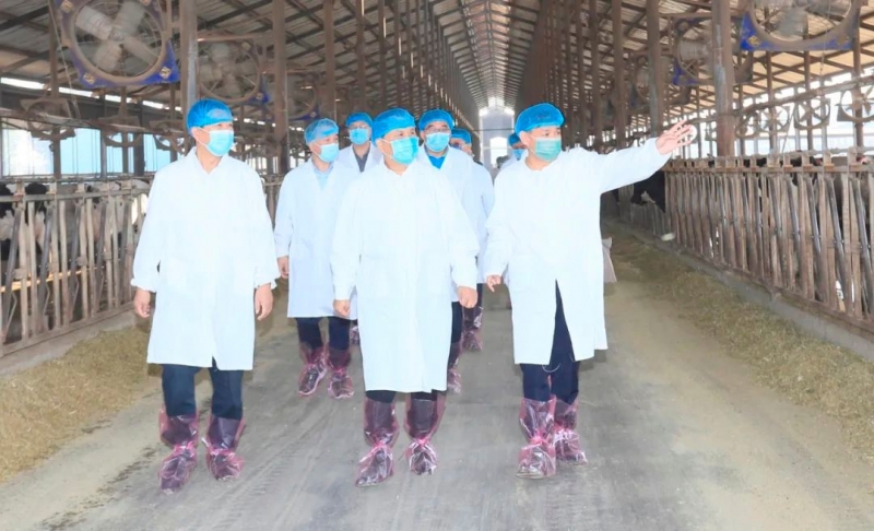 快訊丨河南省人民政府副省長(zhǎng)武國(guó)定蒞臨花花牛乳業(yè)集團(tuán)瑞亞牧業(yè)調(diào)研奶源基地建設(shè)情況
