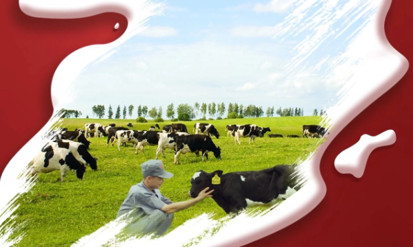 喜報！花花牛董事長關曉彥再獲”優(yōu) 秀企業(yè)家”稱號